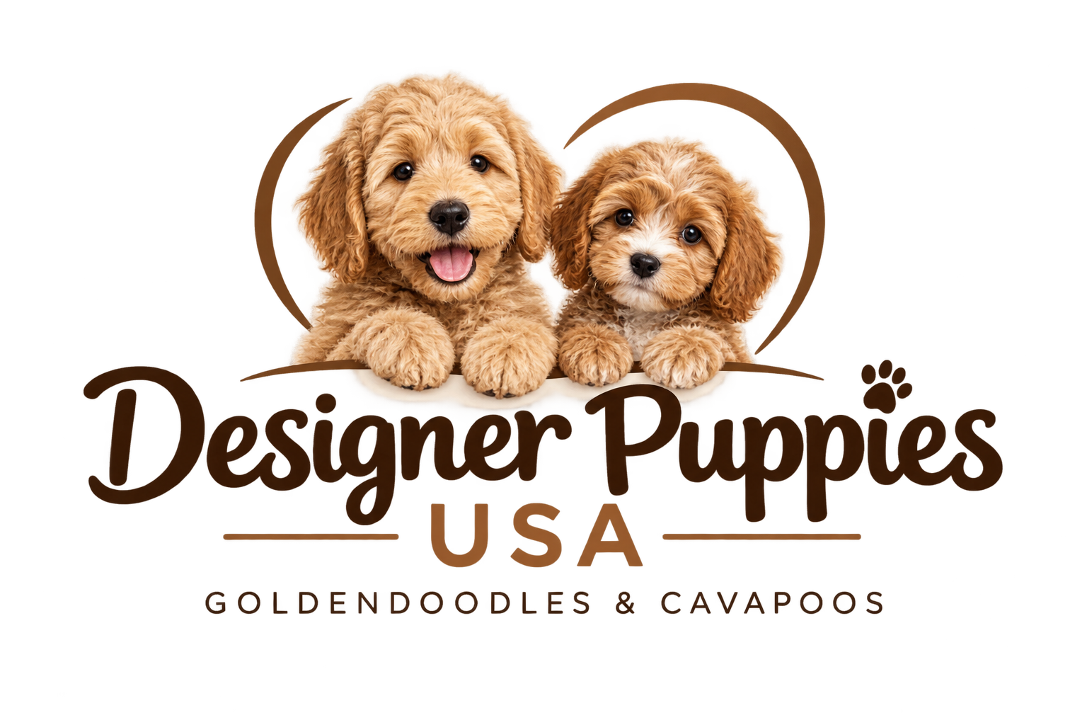 designerpuppiessusa.com